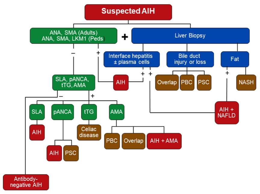 AIH Algorithm